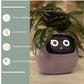 Smart Planter Endless Fun Over 49 Rich Expressions 7 Smart Sensors And AI Chips Make Raising Plants Easy And Fun