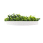 Artificial Green Wall Disc 20" White Frame UV Resistant