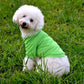 Pet Clothes Dog Solid color Polo Shirt Apparel Lapel Costume Dog Clothes T-shirt Casual Puppy Suit Cotton Clothes Cozy Shirt