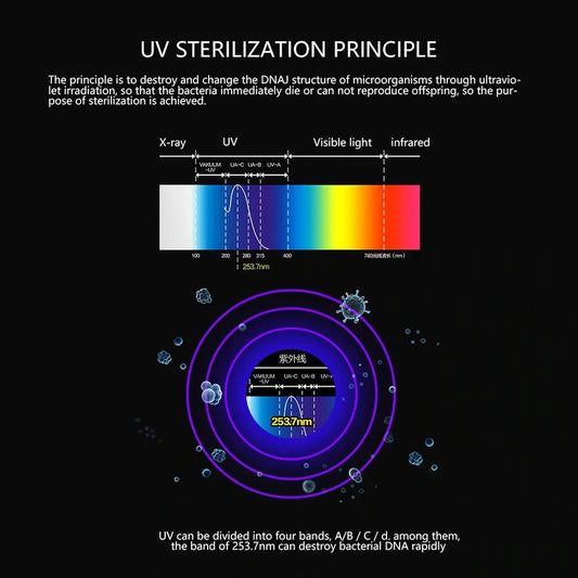 Antibacterial UV Light Toothbrush Disinfection