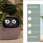 Smart Planter Endless Fun Over 49 Rich Expressions 7 Smart Sensors And AI Chips Make Raising Plants Easy And Fun