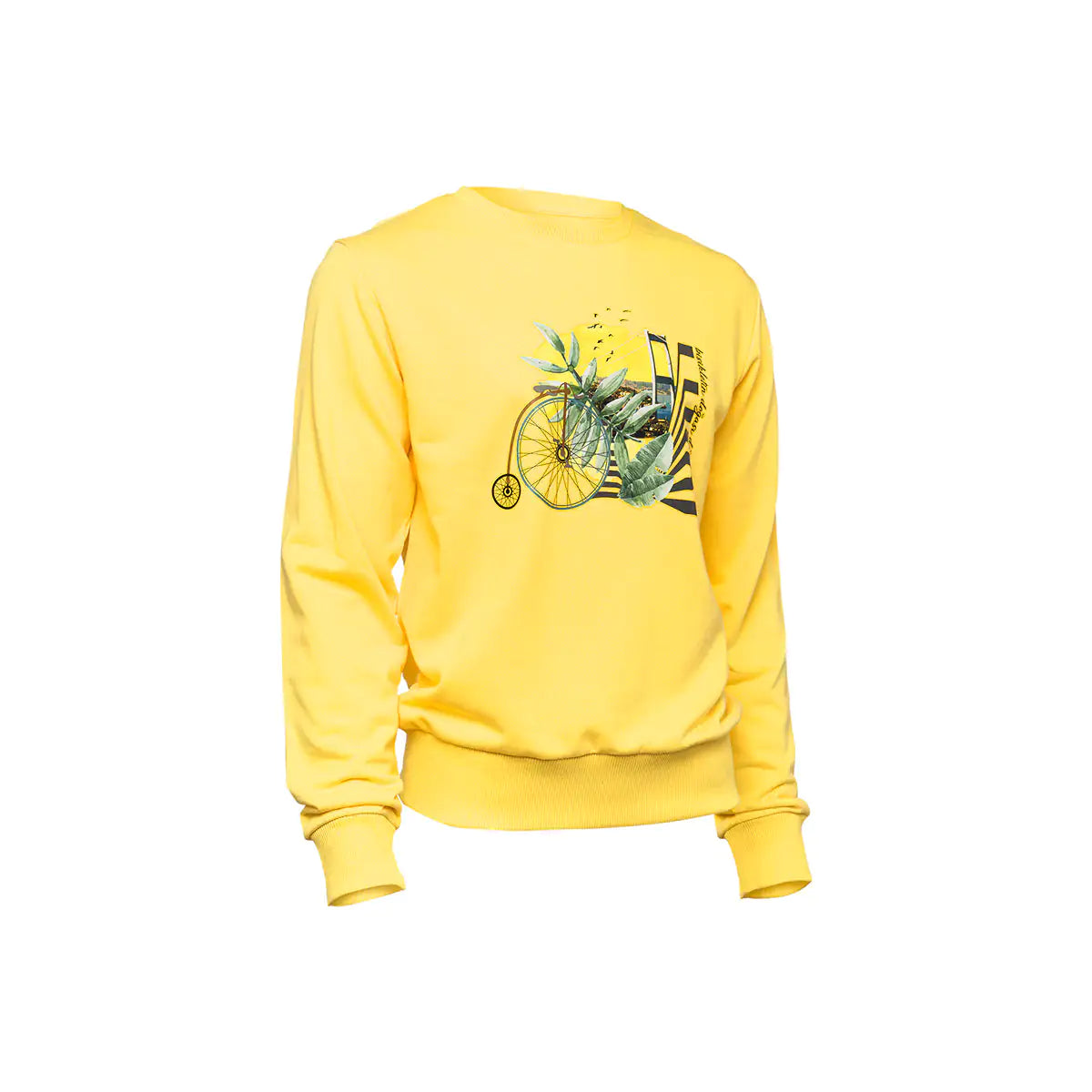 BiggDesign Nature Bicycle in Bosphorus Men Sweatshirt