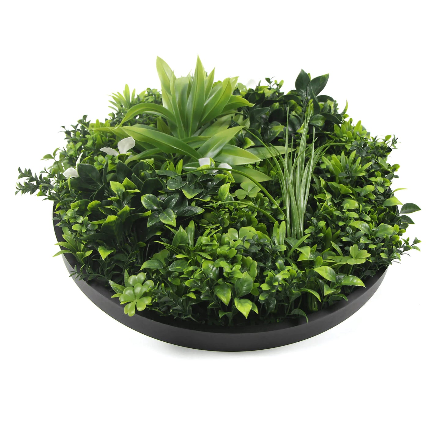 Artificial Green Wall Disc 20" Black Frame UV Resistant