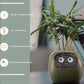 Smart Planter Endless Fun Over 49 Rich Expressions 7 Smart Sensors And AI Chips Make Raising Plants Easy And Fun