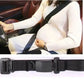 Safety Belt for Pregnant Women