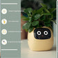 Smart Planter Endless Fun Over 49 Rich Expressions 7 Smart Sensors And AI Chips Make Raising Plants Easy And Fun