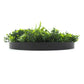 Artificial Green Wall Disc 20" Black Frame UV Resistant