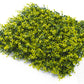 Yellow Buxus Green Wall 33 square foot UV Protected