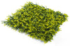 Yellow Buxus Green Wall 33 square foot UV Protected